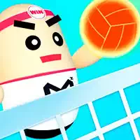 3d_amazing_volleyball Παιχνίδια