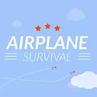 airplane_survival खेल