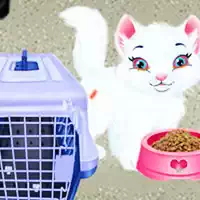 baby_taylor_pet_care ហ្គេម