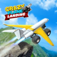 crazy_plane_landing 계략