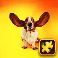 funny_dogs_puzzle Gry