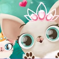 hollywood_fashion_pets 계략