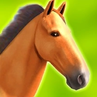 Horse Run 3d