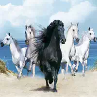 horses_puzzle Igre