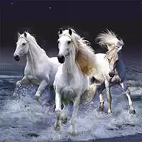 horses_slide игри