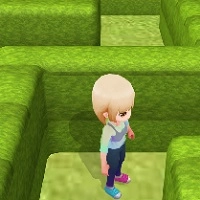 maze_escape_3d permainan