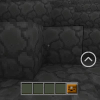 minecraft_game_mode_2021 เกม