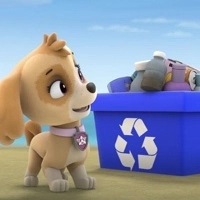 paw_patrol_beach_cleaning Խաղեր