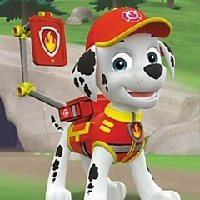 Paw Patrol ile Sıralama Eğlencesi