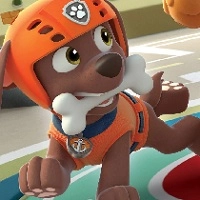 paw_patrol_zuma Hry