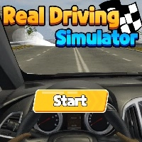 real_driving_simulator Spil