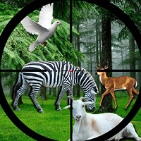 real_jungle_animals_hunting Spiele