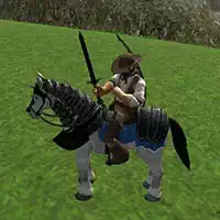 reiten_simulator Oyunlar