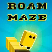 roam_maze гульні