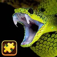 snake_puzzle_challenge खेल