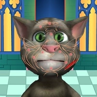 talking_tom_cosmetic_surgery игри