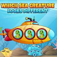 which_sea_creature_looks_different Gry