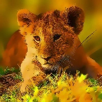 wild_baby_animals_jigsaw Spellen