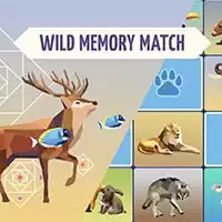 wild_memory Spellen